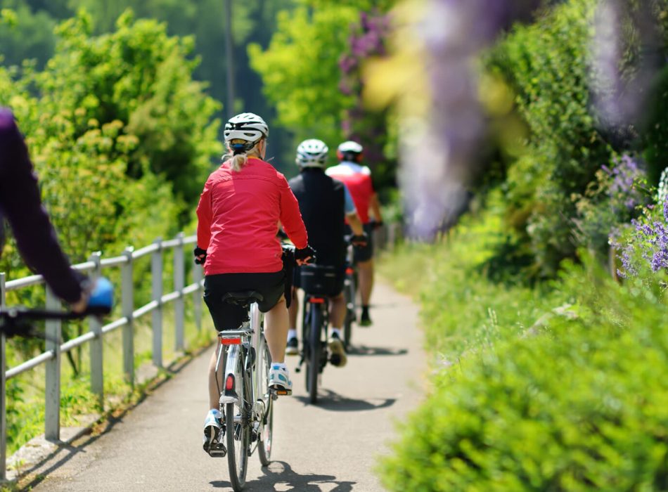 group-of-sportive-man-cycling-in-sunny-park-in-hot-2026-01-08-05-42-55-utc