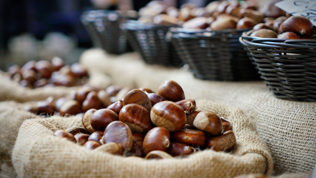 Top,View,Heap,Of,Chestnuts.,Pile,Of,Ripe,Chestnuts,For