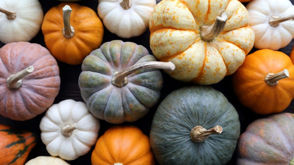Diverse,Assortment,Of,Pumpkins,On,A,Wooden,Background.,Autumn,Harvest.